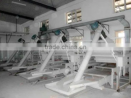 2011 crop sunflower seed kernels chips broken kernels