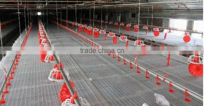 Fuhua automatic DUCK raising feed line