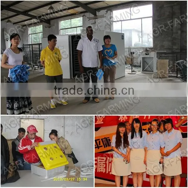 Automatic Poultry Feeder&broiler feed pan for chicken