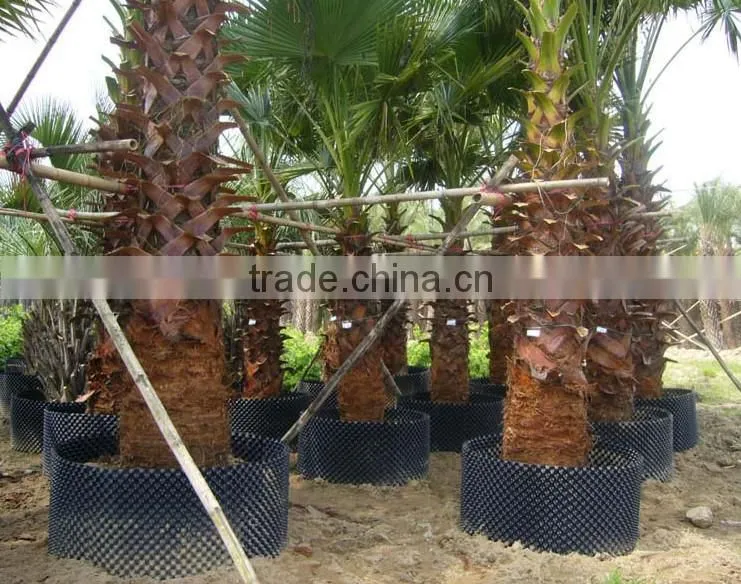 fast growth container/ tree pot/ plastic pot/ root control container