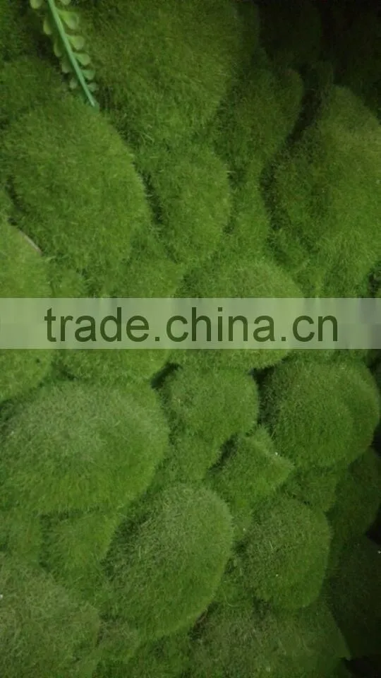 green decoration wire animals, moss topiary garden decoration, artificial moss topiary animals