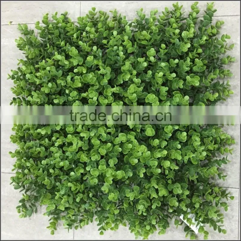New plastic Milan boxwood panel