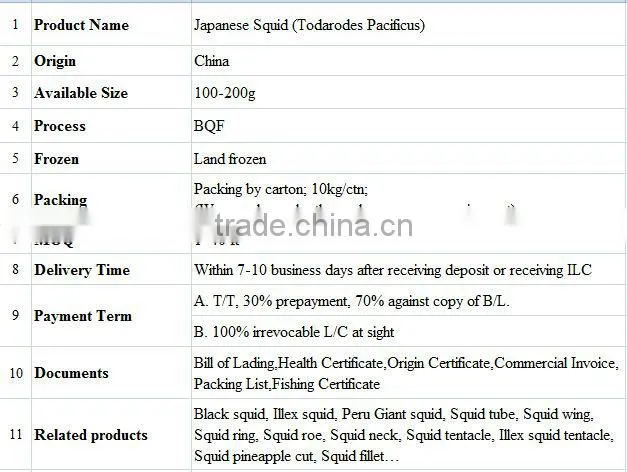 100-200g Frozen Japanese Squid