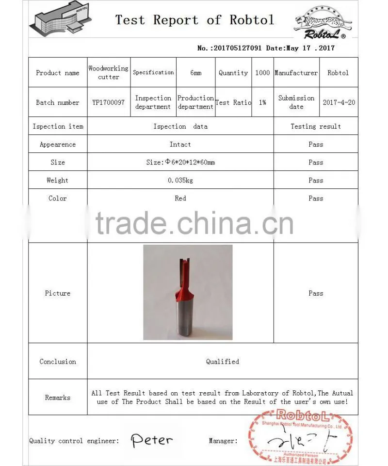 6MM Tungsten Carbide Router Bits woodworking one double flute straight shank CNC milling cutter