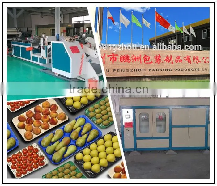 Food Packaging Container