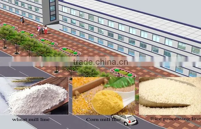 15 years experiences good quality wheat starch processing line/wheat starch plant