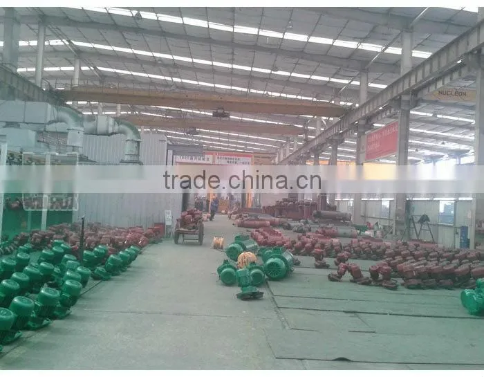 220v/380v electric hoist,providing wire rope hoist/chain hoist/mini hoist/electric winch