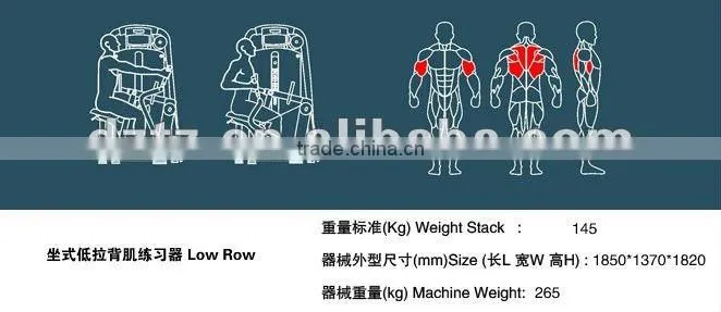 Gym Equipment / Fitness Equipment /Low Row TZ-6021