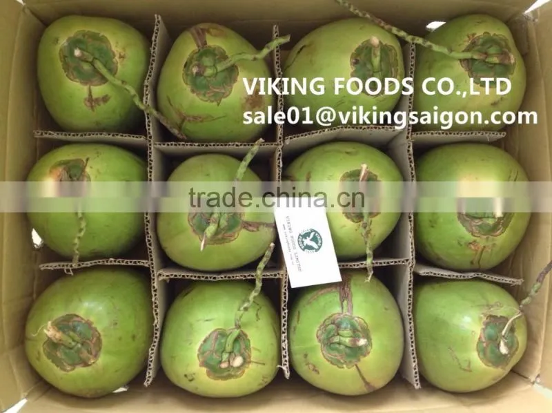 NATA DE COCO IN SYRUP _ GOOD QUALITY _ COMPETITIVE PRICE