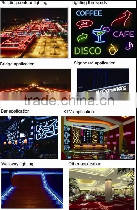 Mini SMD5050 LED Flex Neon