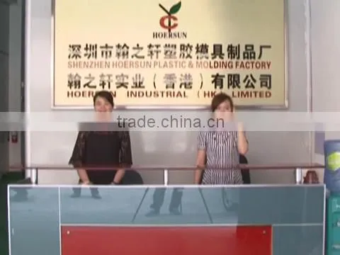 Shenzhen Hoersun Plastics & Molding Factory company overview - view 1