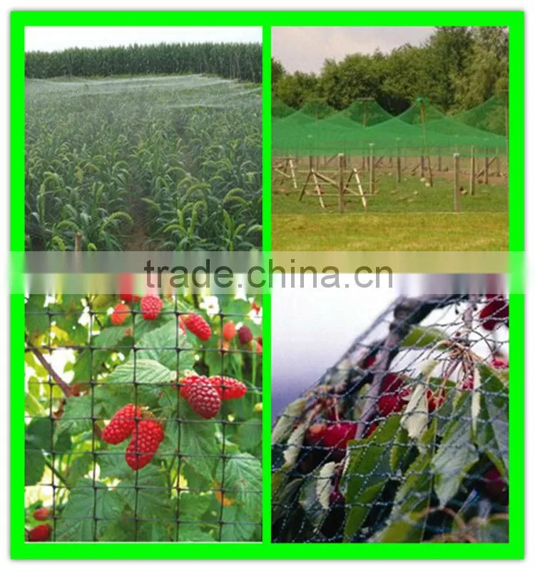 high quality stretch crops field top cover bird net