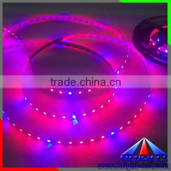 Red and Blue Color Grow Light Flexible Led SMD 5050