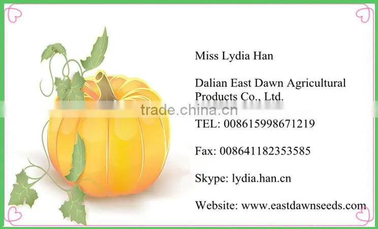 Shop Online Price of Sunflower Seeds, Specifications for Sunflower Seed