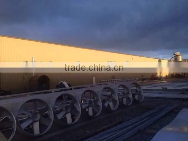 top quality save energy, kiln dried wood drying camera/chamber/kiln