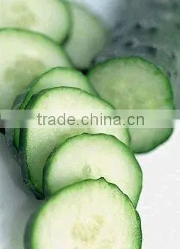 manual plastic vegetable fruit cutter