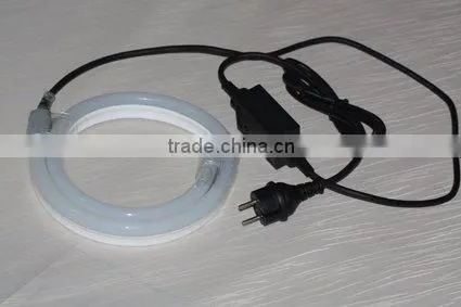 Commercial LED Rope Light