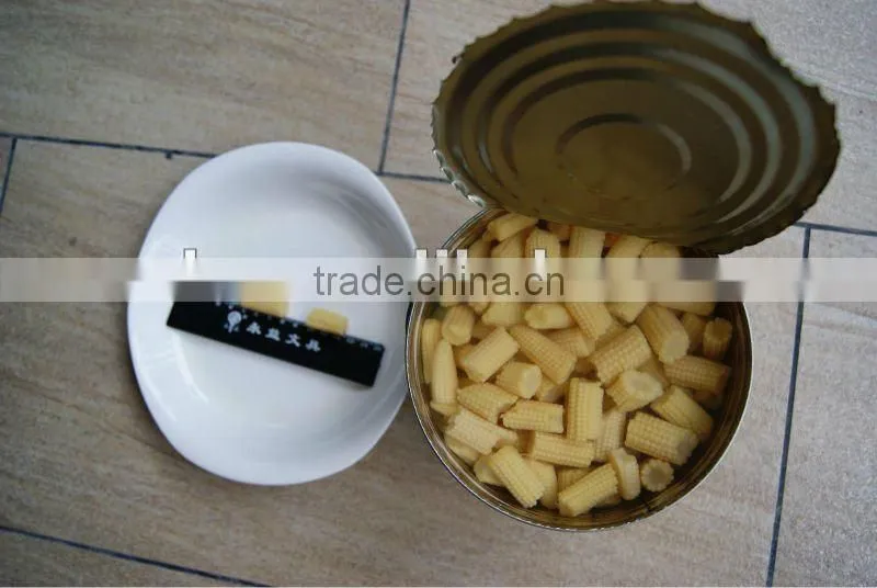 Canned Baby corn Cut In Brine
