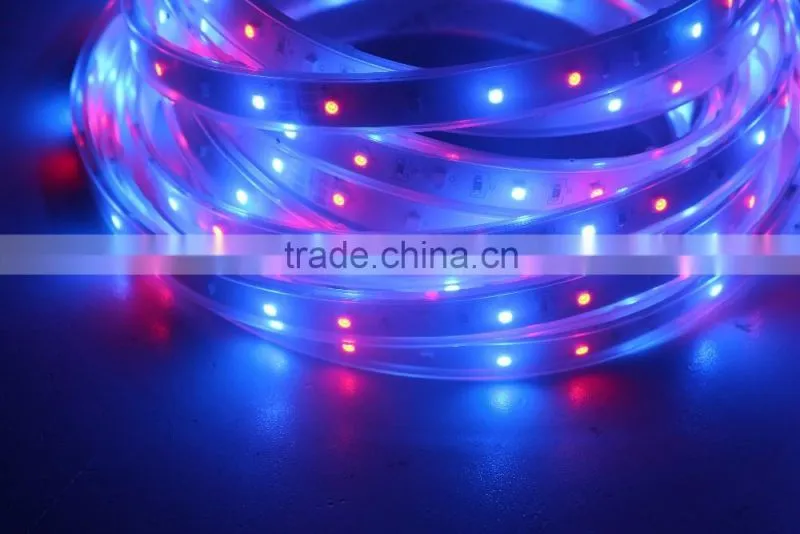 5M 300 leds 60leds/m 12V SMD 3528 RGB LED Strip light flexible band with 24/44 Keys IR Remote control +3A Power Supply