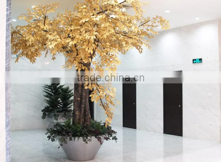 Christmas decoration ficus tree