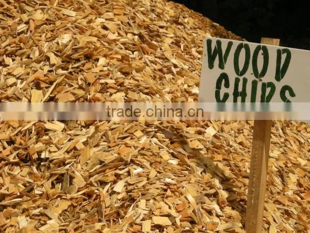 SD1000 wood chipper