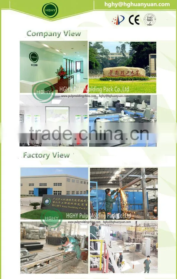 3000pcs/hr pulp molded egg tray machine egg carton machine
