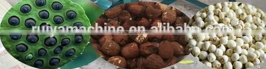 High Efficiency Lotus Nuts husking machine/Lotus Nuts husker machine 0086-15981835029