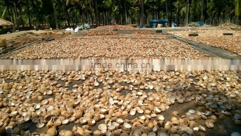 dried coconut meat ball copra from india