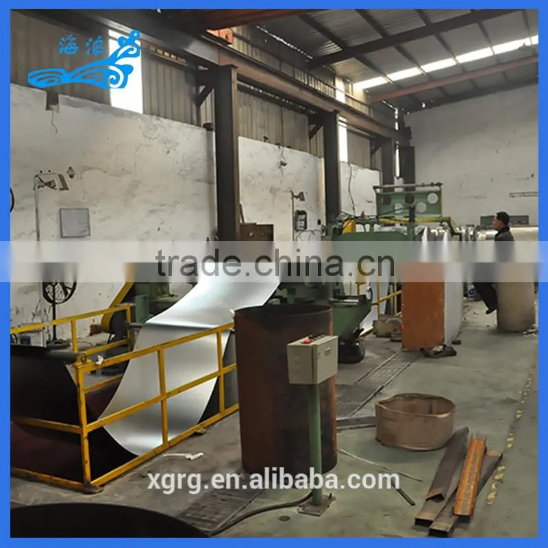 Sinapore Market G.I Flexible Hose