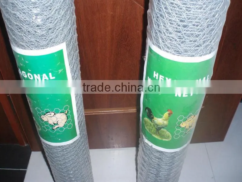Chicken Wire Mesh/ Dog Cages