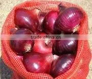 Onion