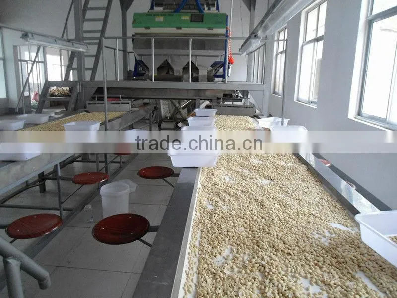 2012 blanched peanut kernel