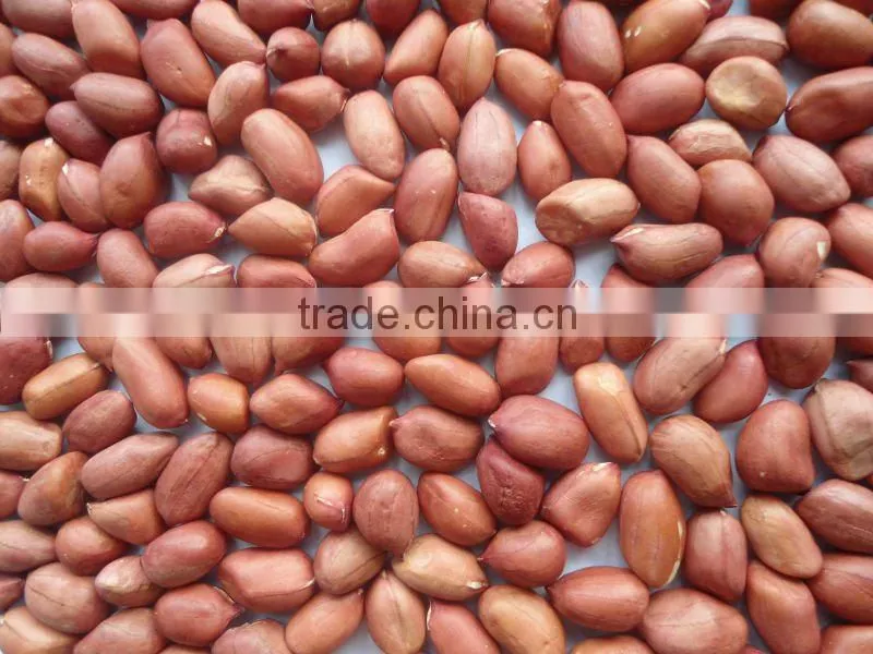 2015 crop round shape peanut kernels BAISHA