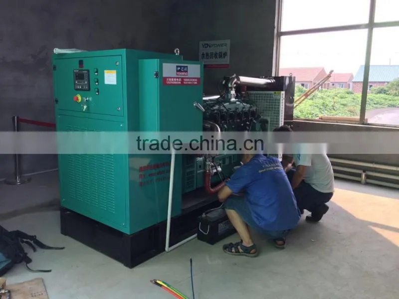 Silent factory natural gas generator from china