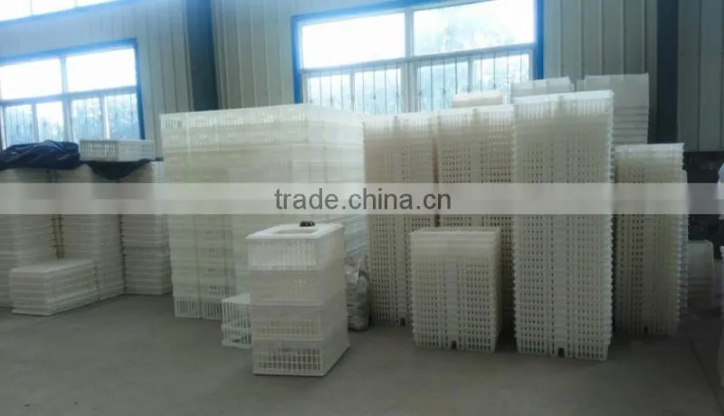 Transport Cages for Chicken