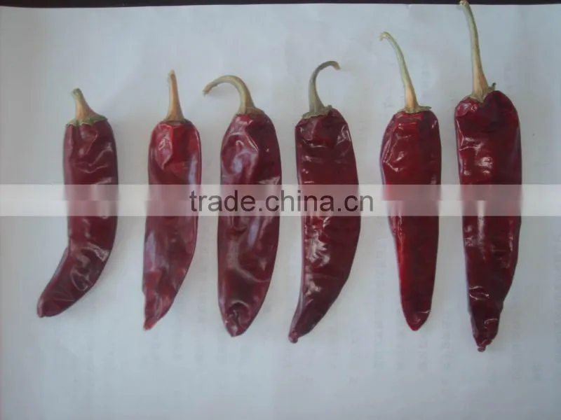 Red Chilli