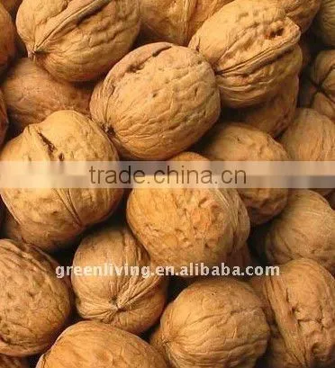 supplying 2012 fresh dried walnut of China