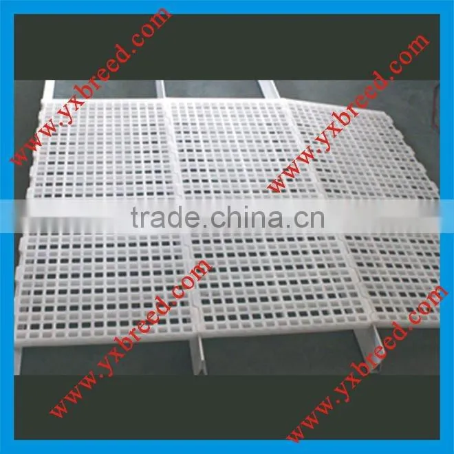 poultry plastic slat and support