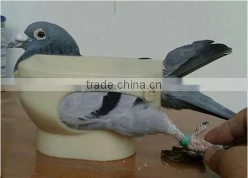 Good quality and cheap price pigeon fixer,pigeon holder