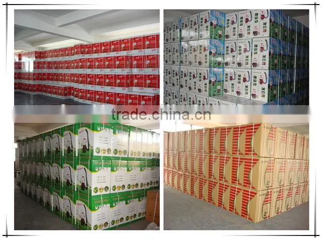 20L agriculture knapsack power sprayers manufactures, sprayer gasoline, insect killer KXF-787