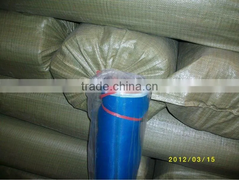 Hot sale 18*18, 30*30 plastic window screen/plastic screen net/PE window screen