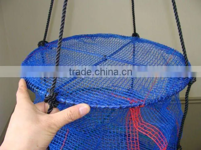 scallop lanterns scallop farming lanterns net