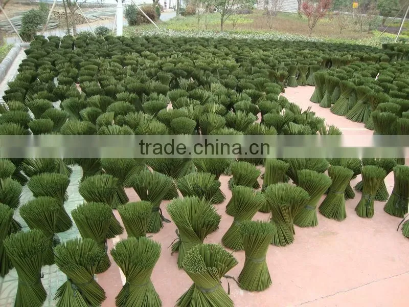 garden bamboo stake