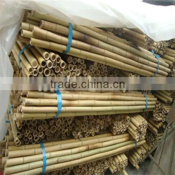 Bamboo stake for support flower ,oloive trees ,tomatoes ,pepper