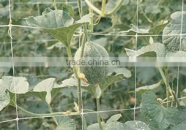 Plant Support Trellis