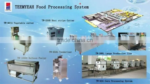 Taiwan Teemyeah TY-609 Industrial Commercial Meat Mixer for sale