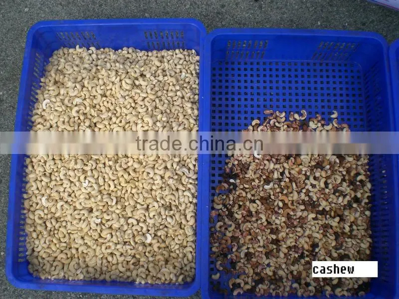 Belt Cashew Color Sorting Machine
