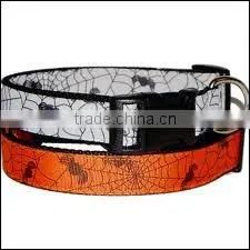 designer dog collar