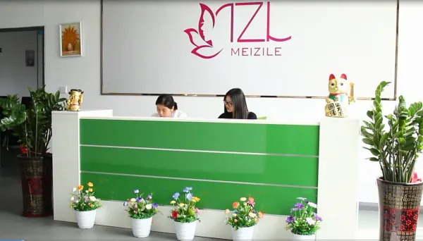 Shenzhen Meizile Technology Co., Ltd company overview - view 1
