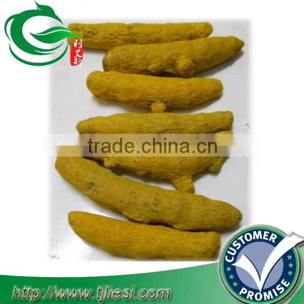 supply tumeric root for pungent spice